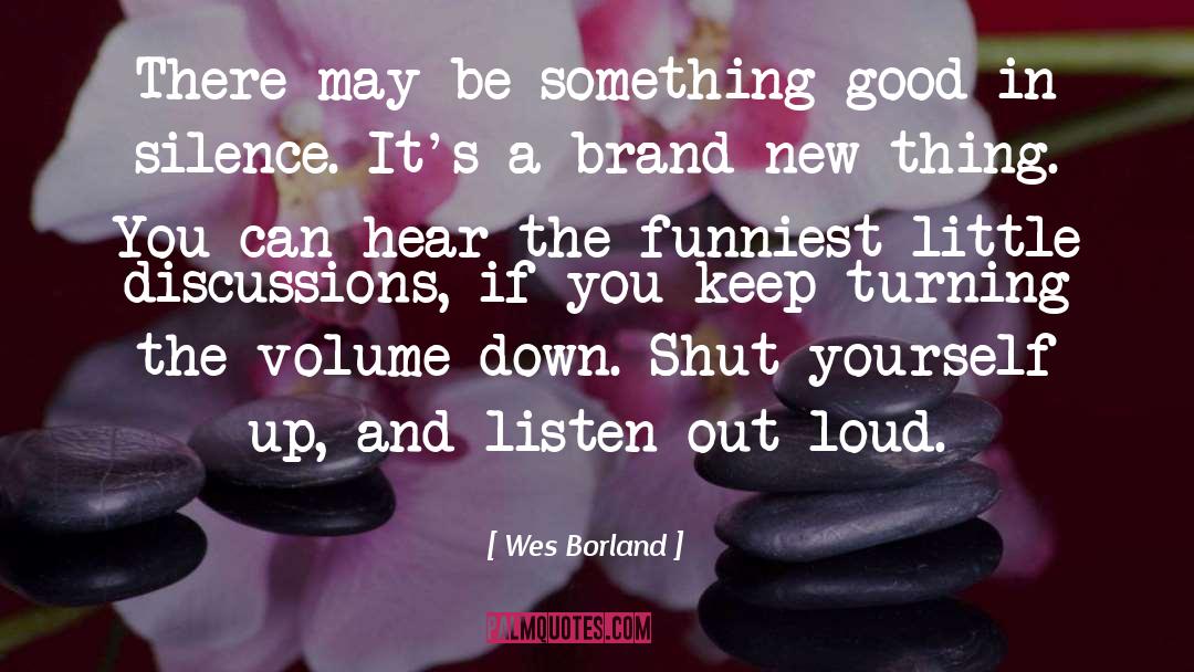 Wes Borland Quotes: There may be something good