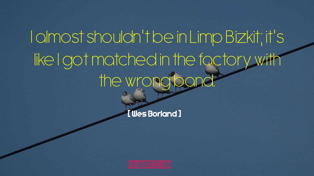 Wes Borland Quotes: I almost shouldn't be in