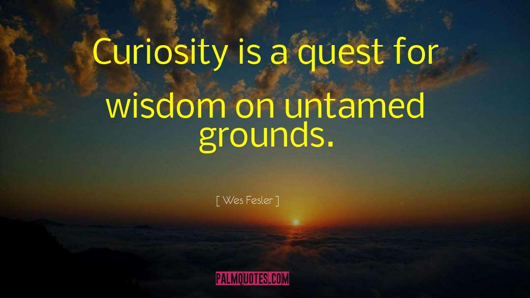 Wes Fesler Quotes: Curiosity is a quest for