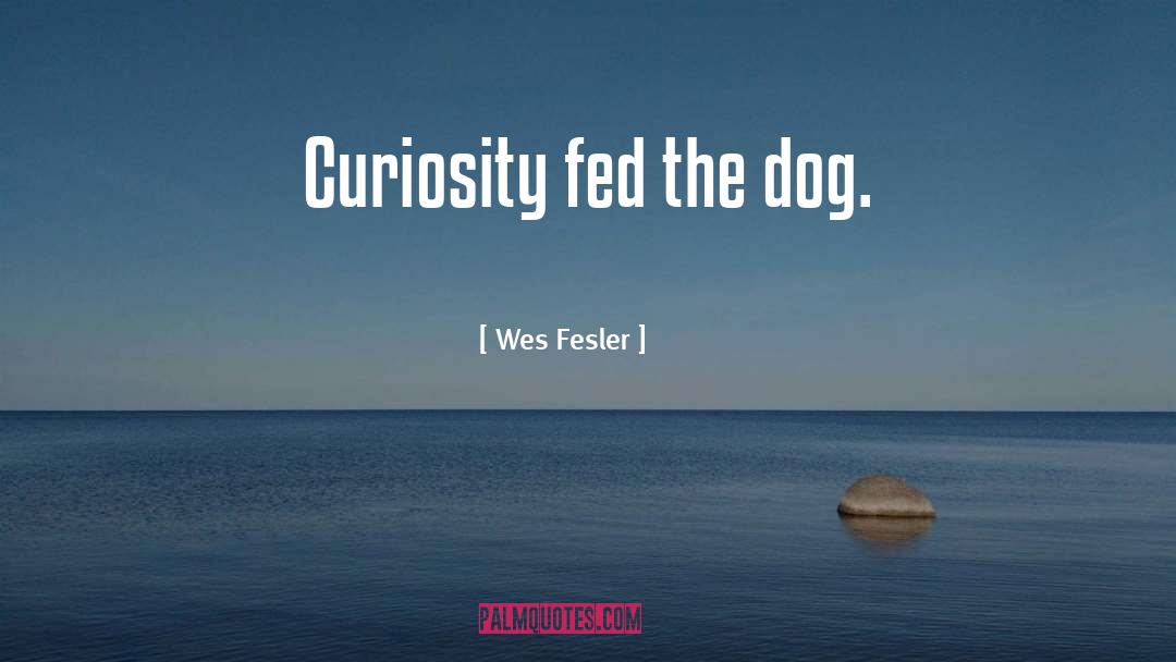 Wes Fesler Quotes: Curiosity fed the dog.