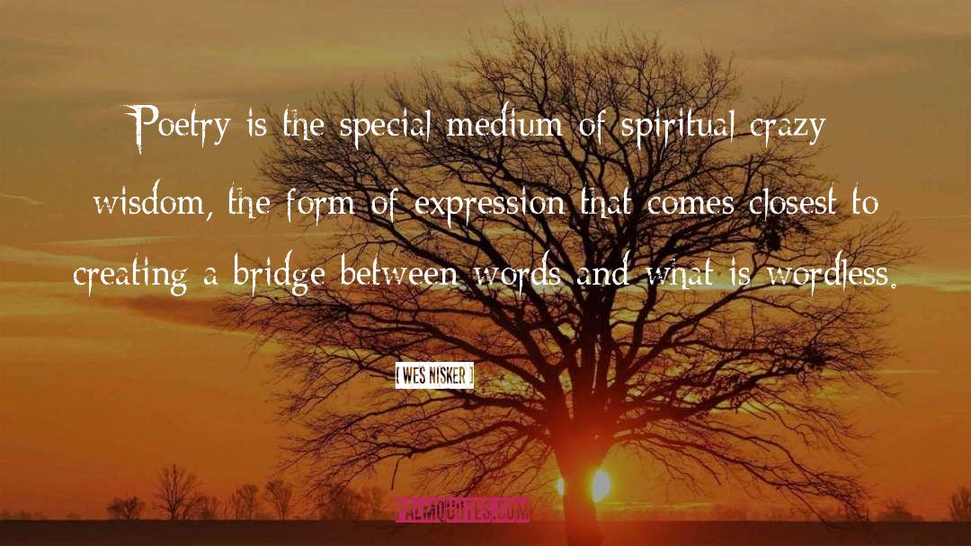 Wes Nisker Quotes: Poetry is the special medium