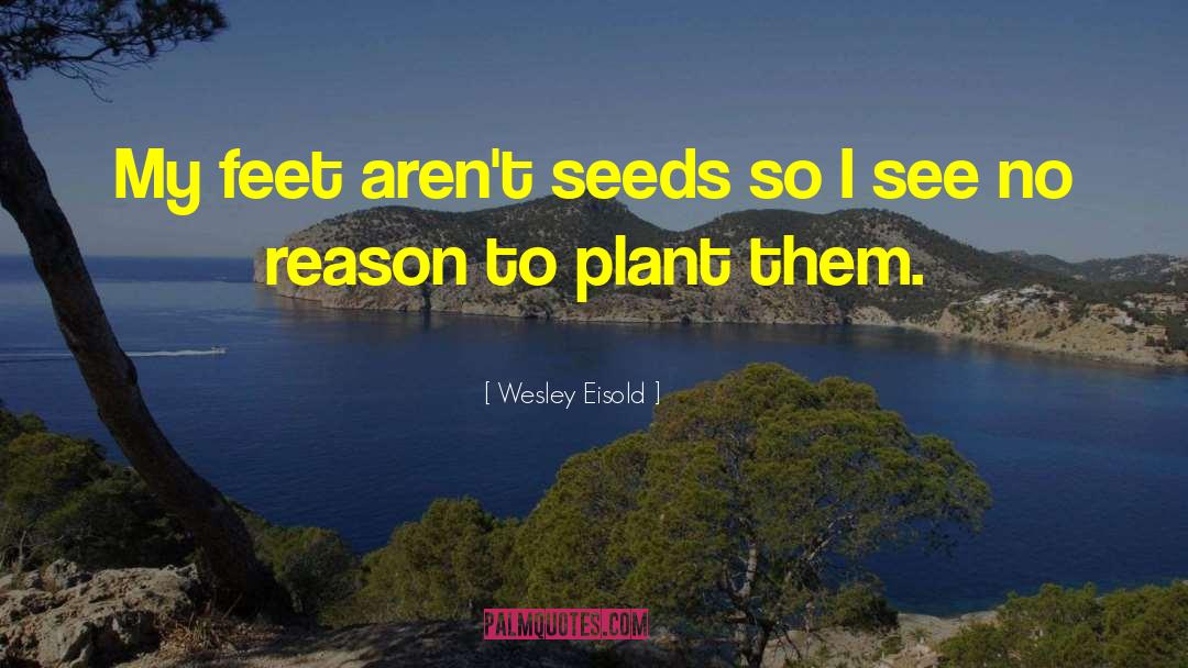 Wesley Eisold Quotes: My feet aren't seeds so