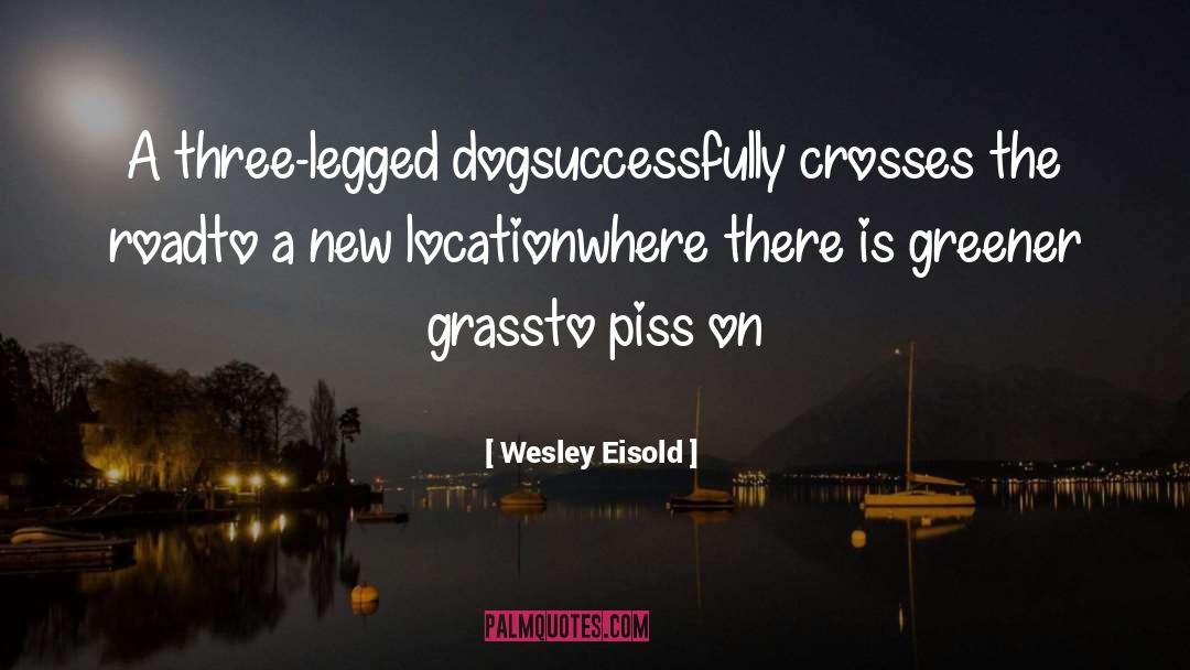 Wesley Eisold Quotes: A three-legged dog<br />successfully crosses