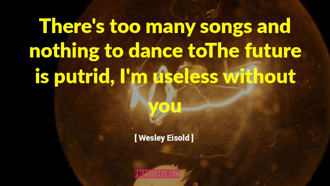 Wesley Eisold Quotes: There's too many songs and