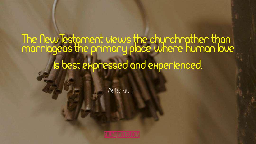 Wesley Hill Quotes: The New Testament views the