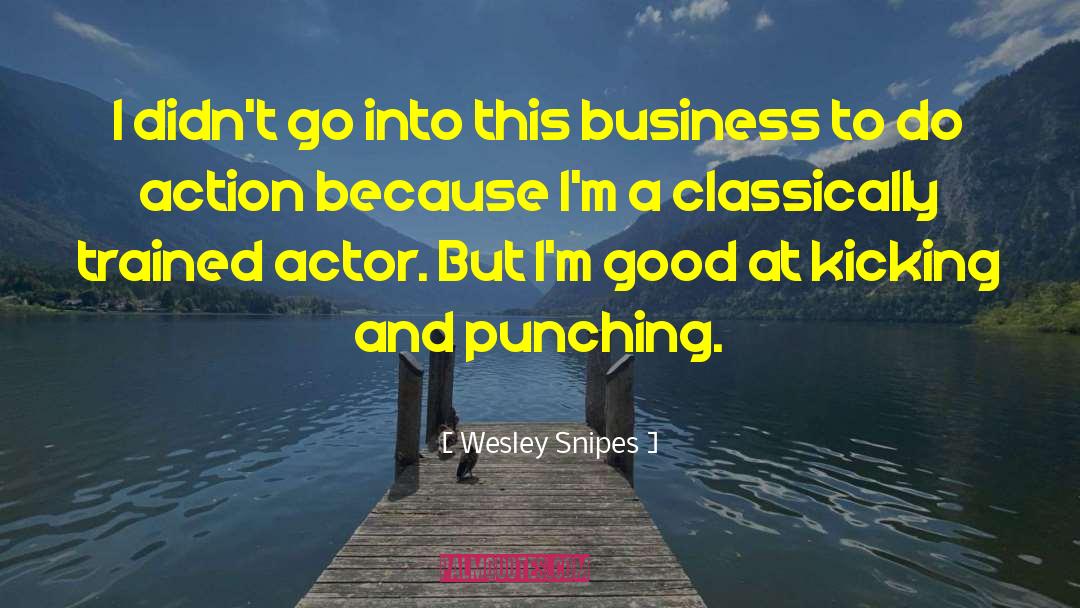 Wesley Snipes Quotes: I didn't go into this