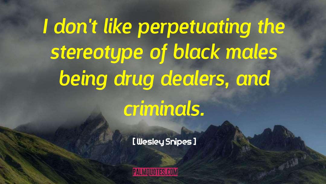 Wesley Snipes Quotes: I don't like perpetuating the
