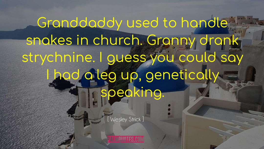 Wesley Strick Quotes: Granddaddy used to handle snakes