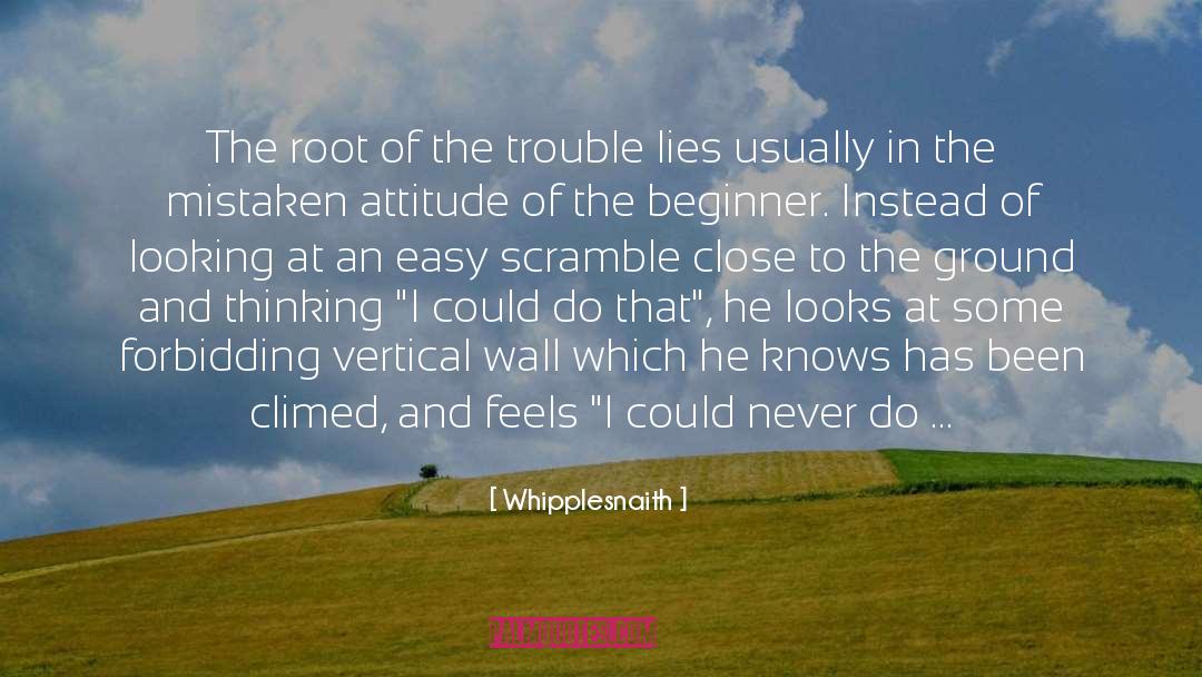 Whipplesnaith Quotes: The root of the trouble