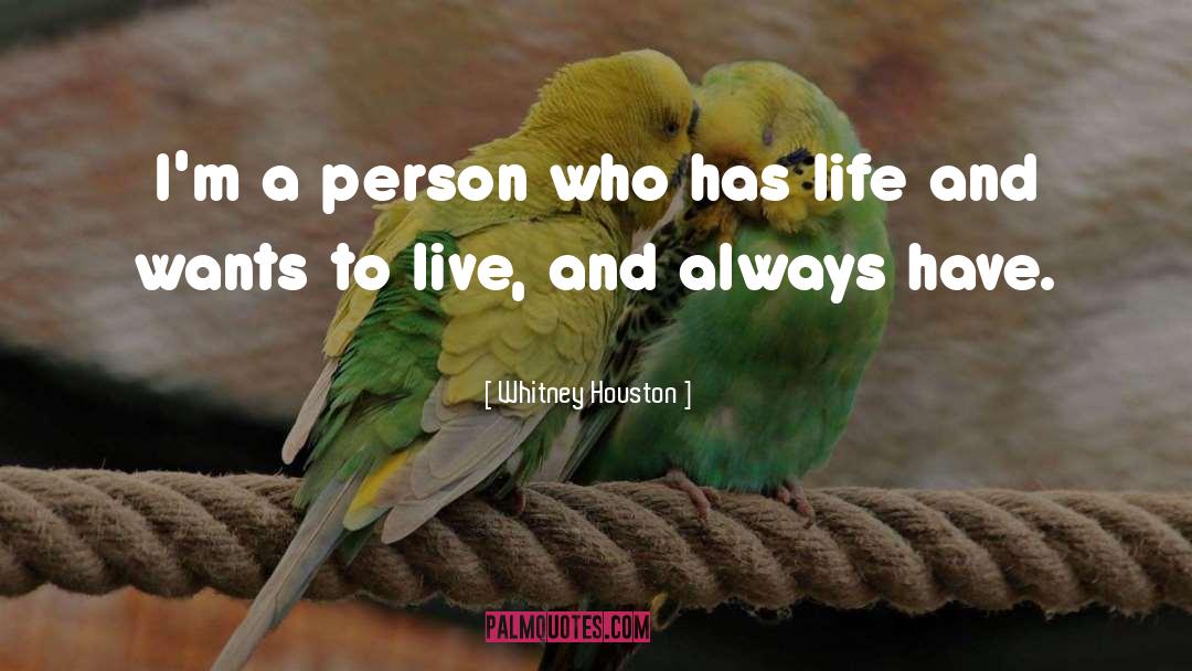 Whitney Houston Quotes: I'm a person who has