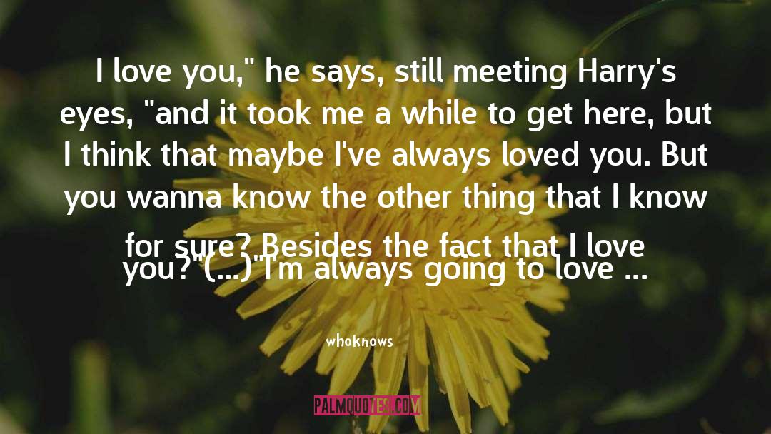 Whoknows Quotes: I love you,