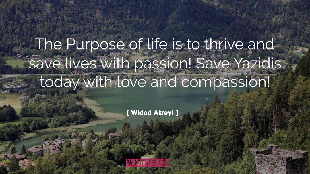 Widad Akreyi Quotes: The Purpose of life is