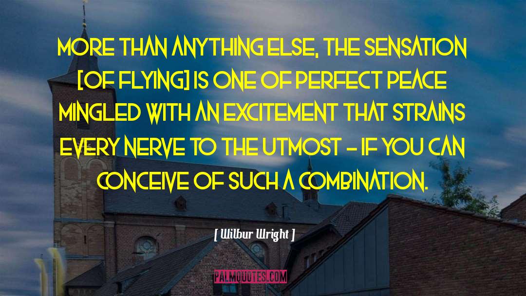 Wilbur Wright Quotes: More than anything else, the