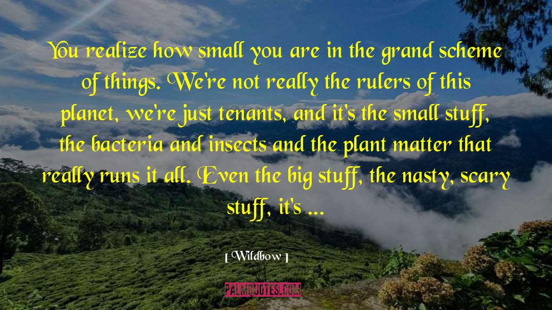 Wildbow Quotes: You realize how small you