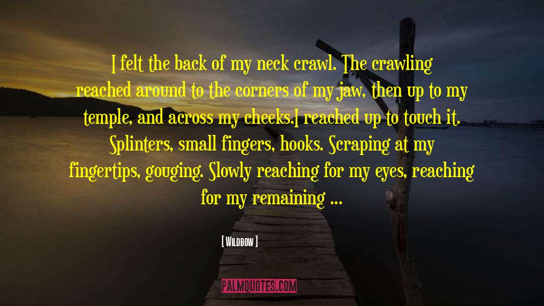 Wildbow Quotes: I felt the back of