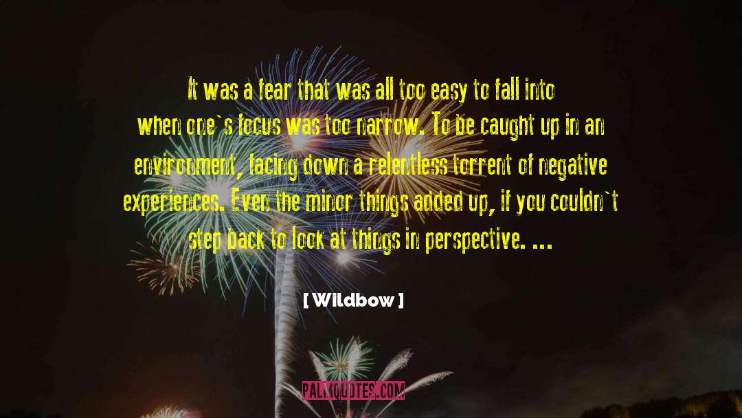Wildbow Quotes: It was a fear that