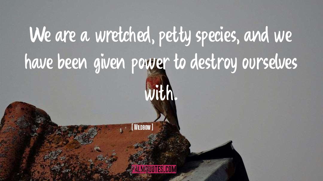 Wildbow Quotes: We are a wretched, petty