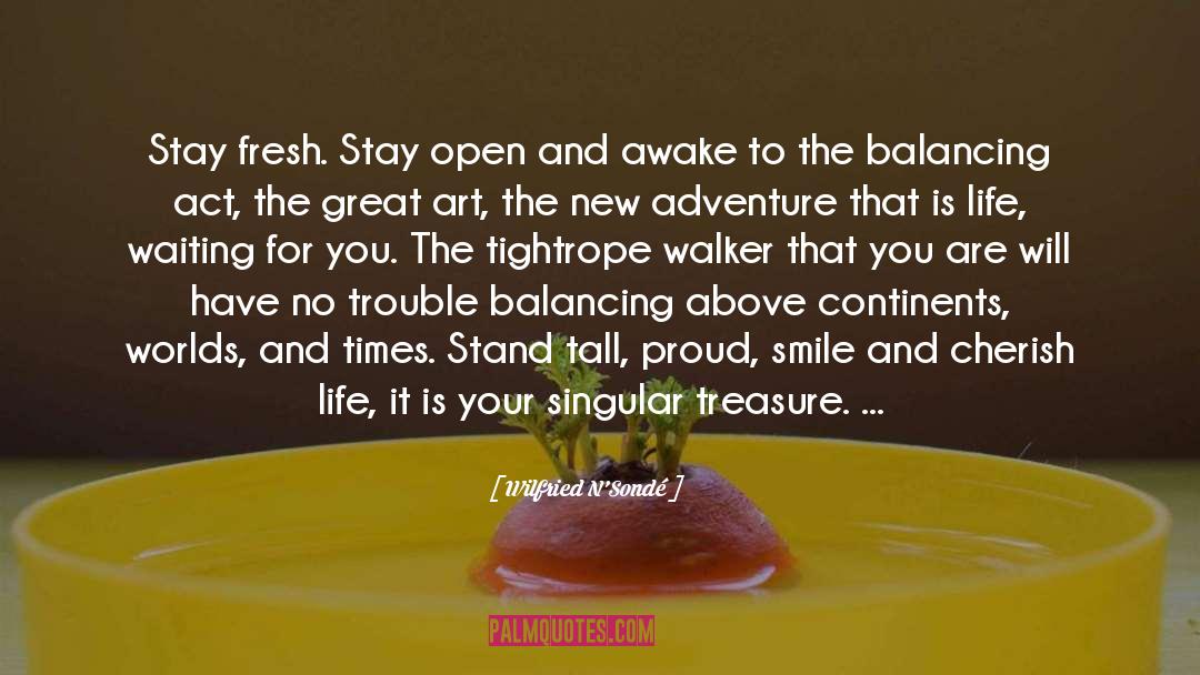 Wilfried N'Sondé Quotes: Stay fresh. Stay open and