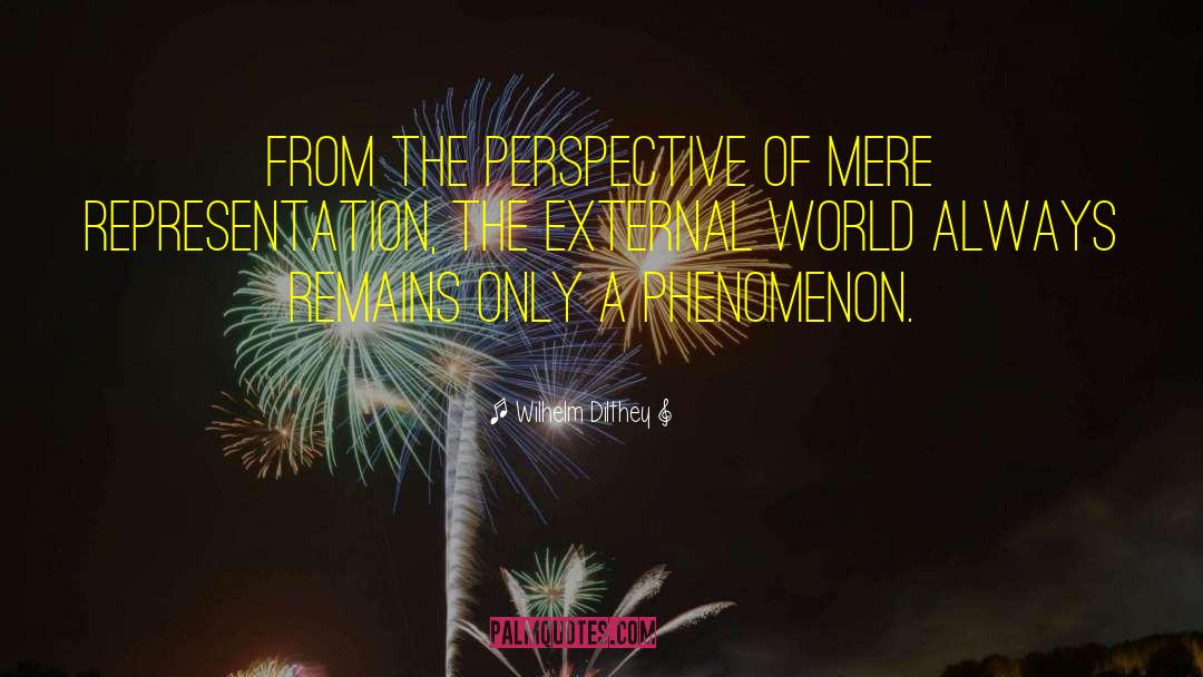 Wilhelm Dilthey Quotes: From the perspective of mere