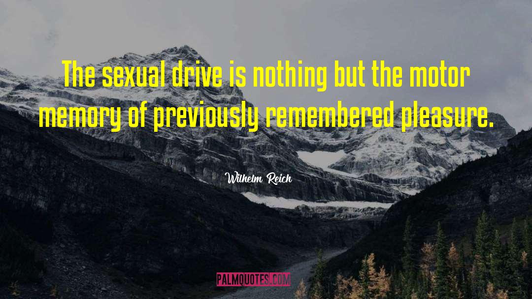 Wilhelm Reich Quotes: The sexual drive is nothing