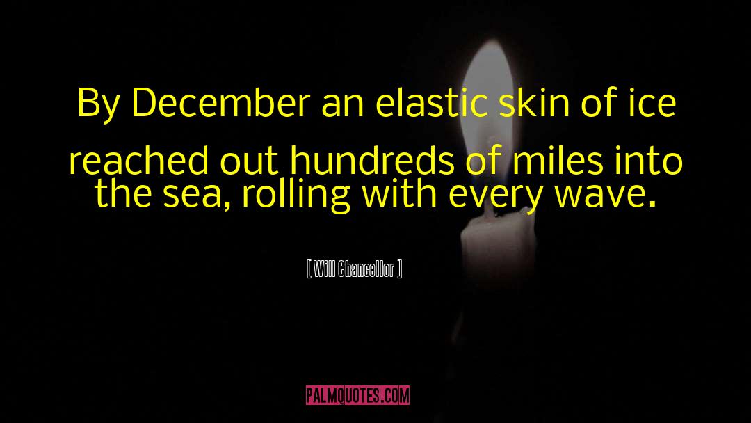 Will Chancellor Quotes: By December an elastic skin