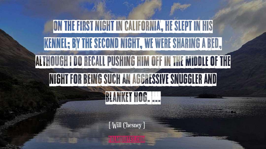 Will Chesney Quotes: On the first night in
