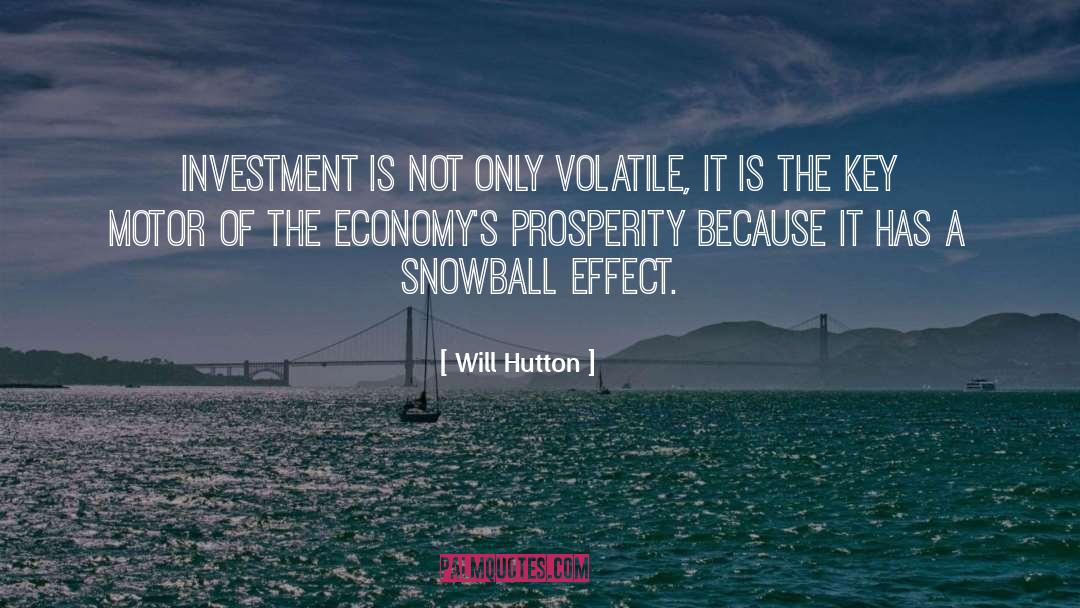 Will Hutton Quotes: Investment is not only volatile,