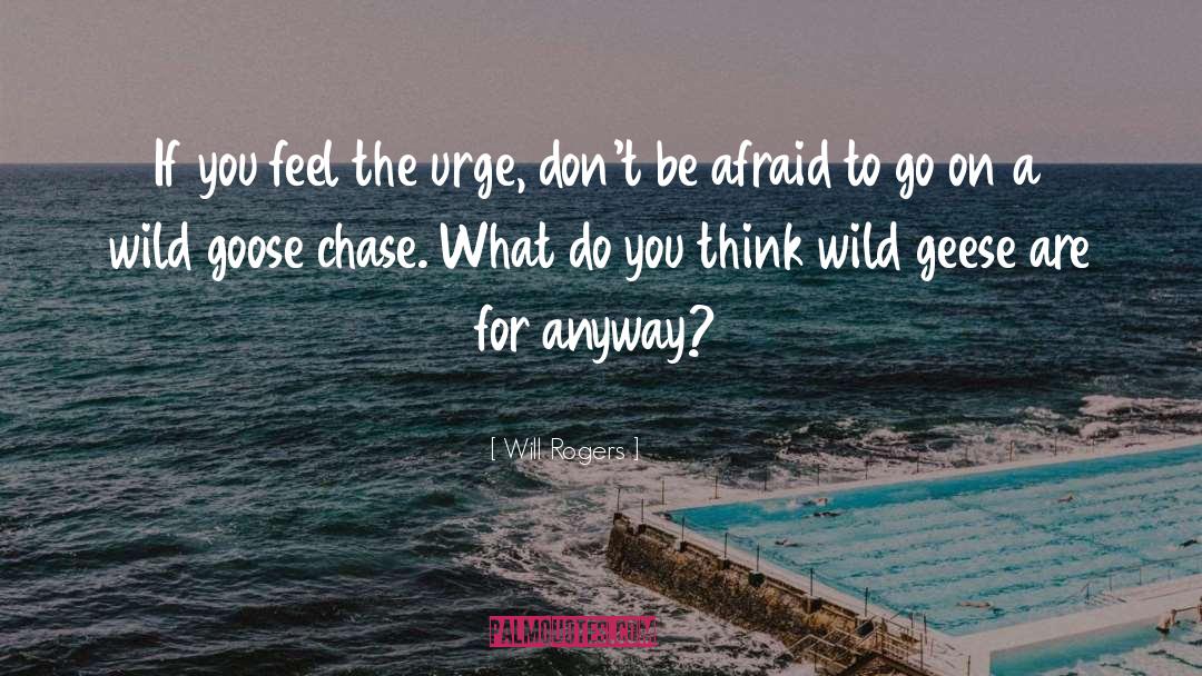 Will Rogers Quotes: If you feel the urge,