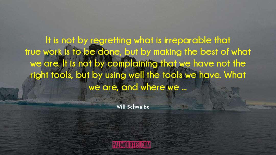 Will Schwalbe Quotes: It is not by regretting