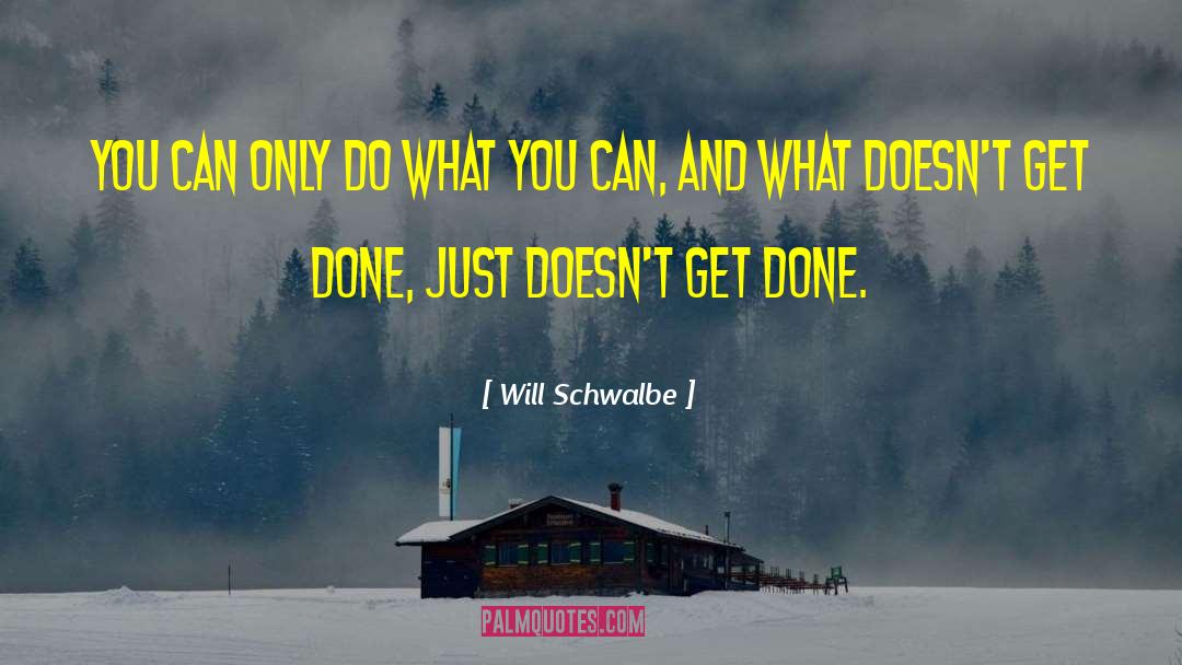 Will Schwalbe Quotes: You can only do what