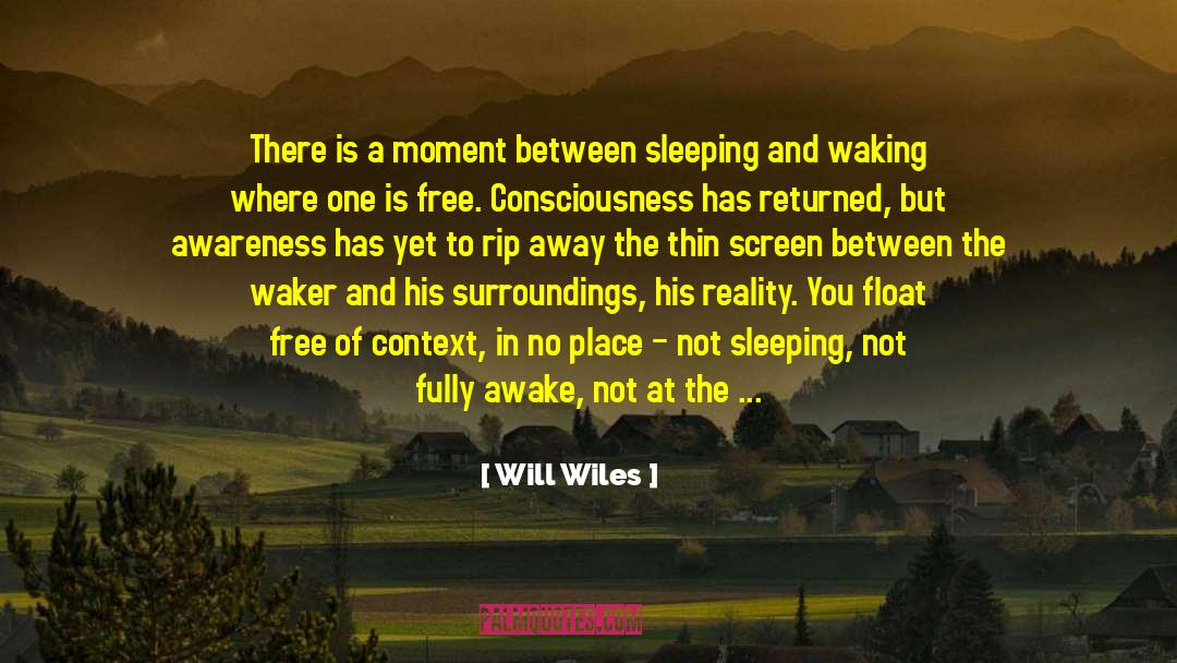 Will Wiles Quotes: There is a moment between