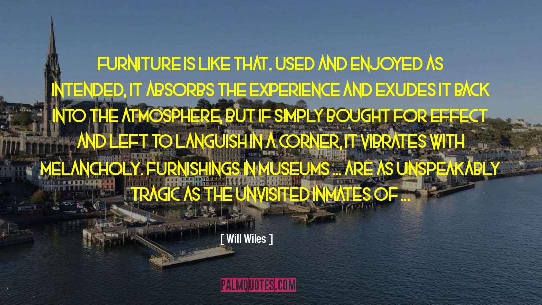 Will Wiles Quotes: Furniture is like that. Used