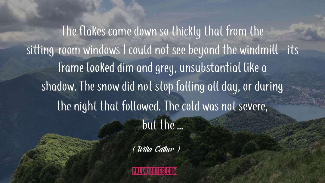 Willa Cather Quotes: The flakes came down so