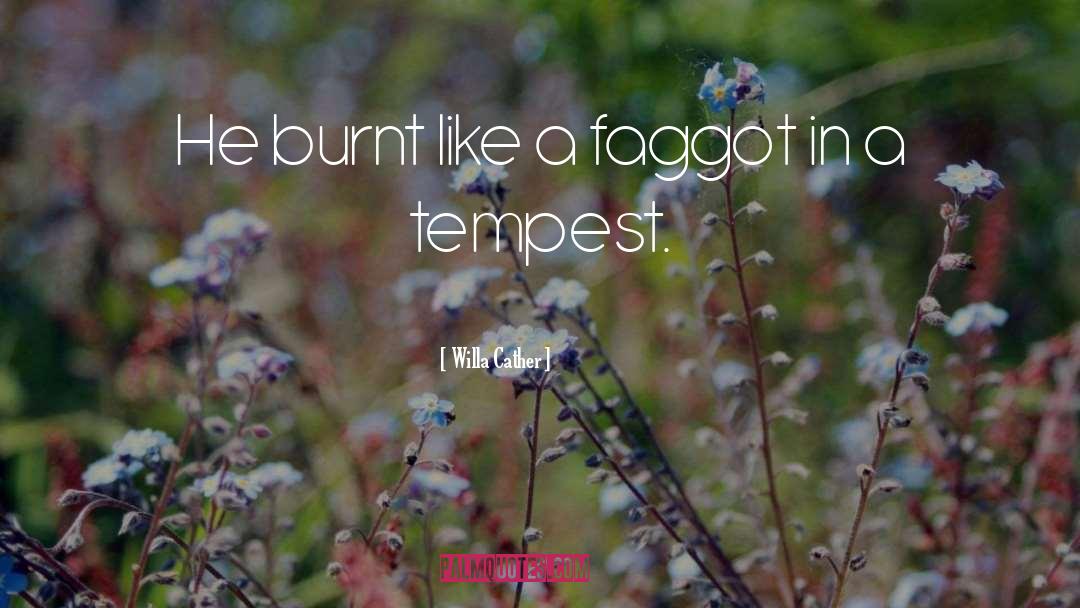 Willa Cather Quotes: He burnt like a faggot