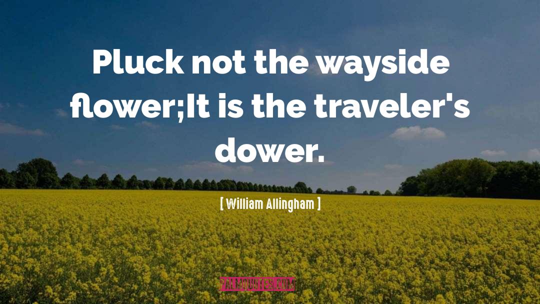 William Allingham Quotes: Pluck not the wayside flower;<br>It