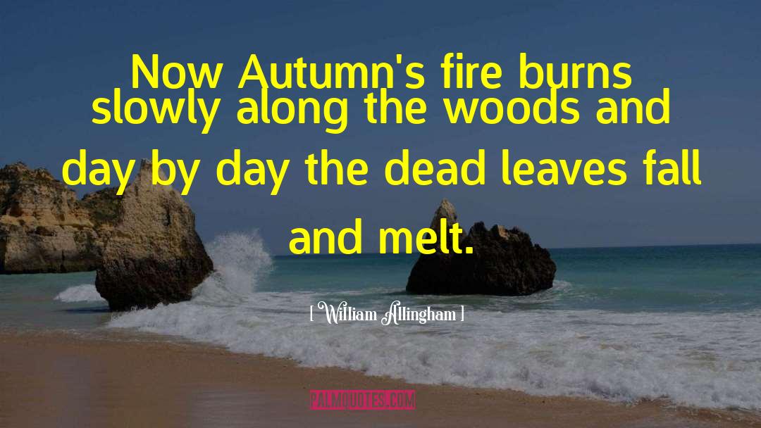 William Allingham Quotes: Now Autumn's fire burns slowly