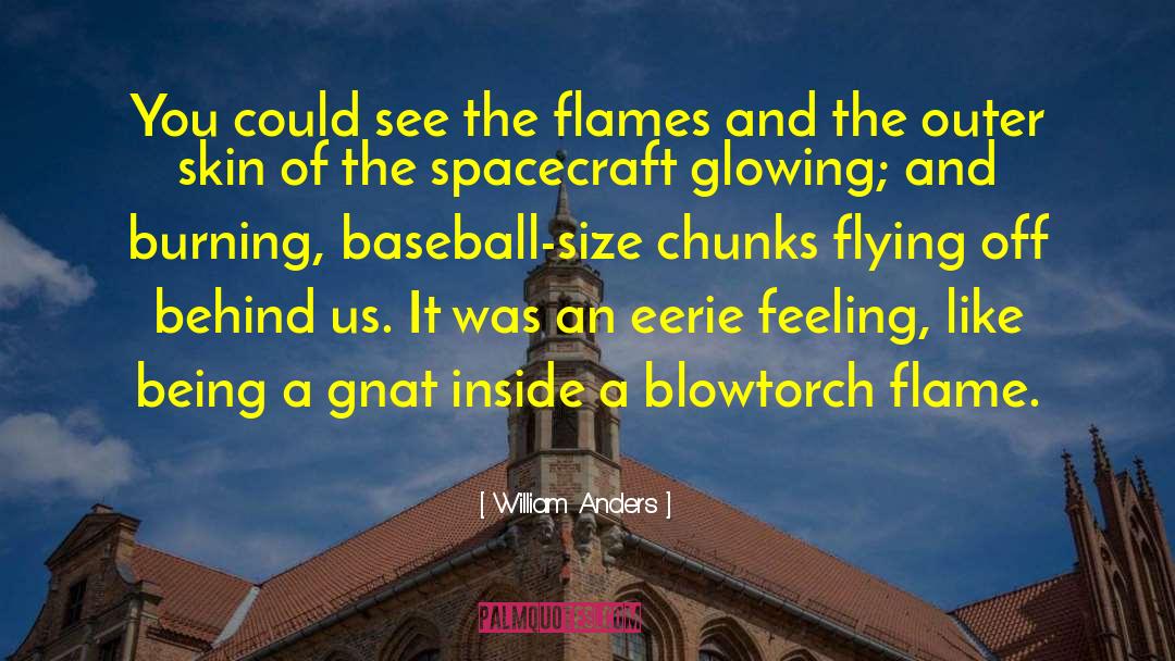 William Anders Quotes: You could see the flames