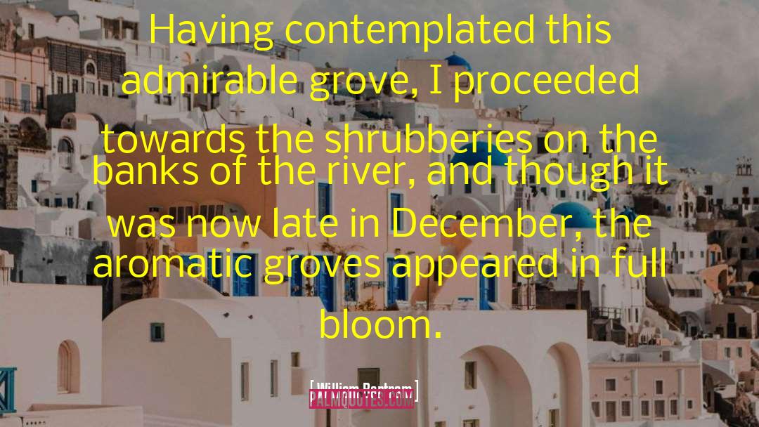 William Bartram Quotes: Having contemplated this admirable grove,