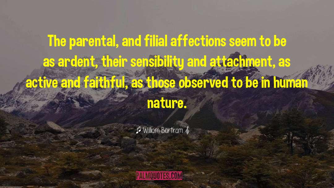 William Bartram Quotes: The parental, and filial affections