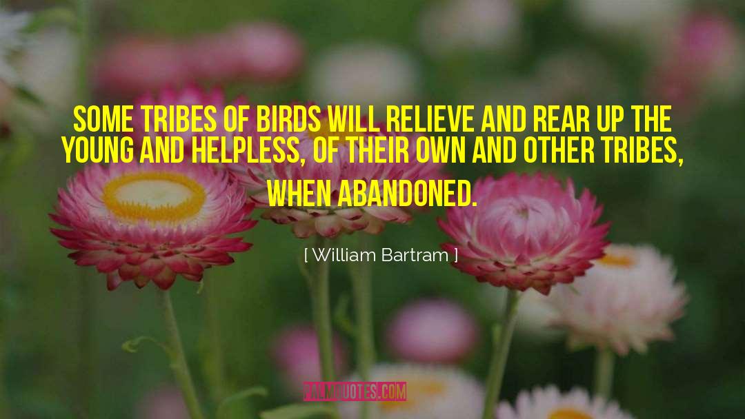 William Bartram Quotes: Some tribes of birds will