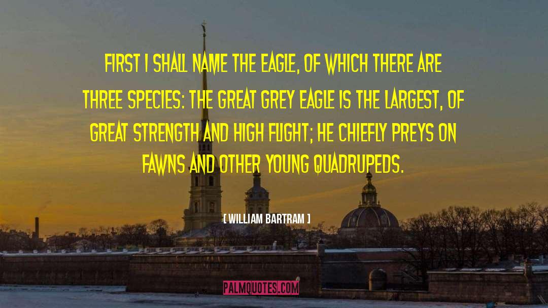 William Bartram Quotes: First I shall name the