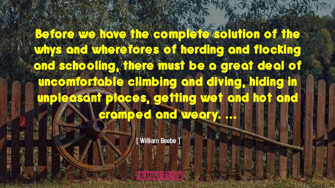 William Beebe Quotes: Before we have the complete