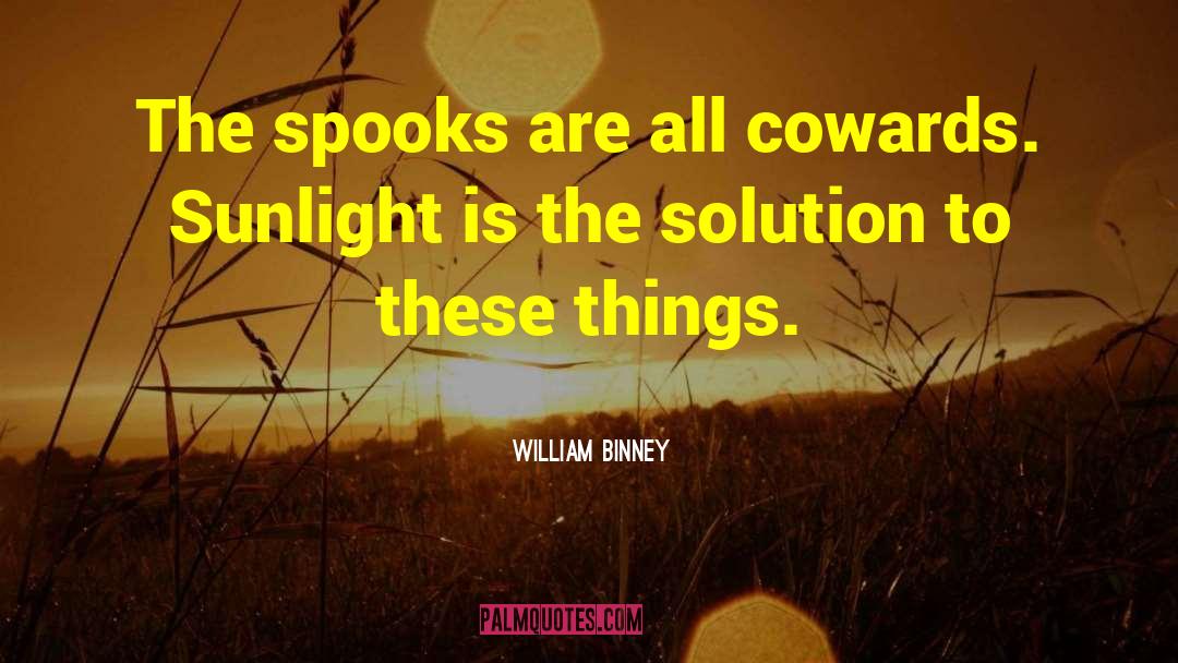 William Binney Quotes: The spooks are all cowards.