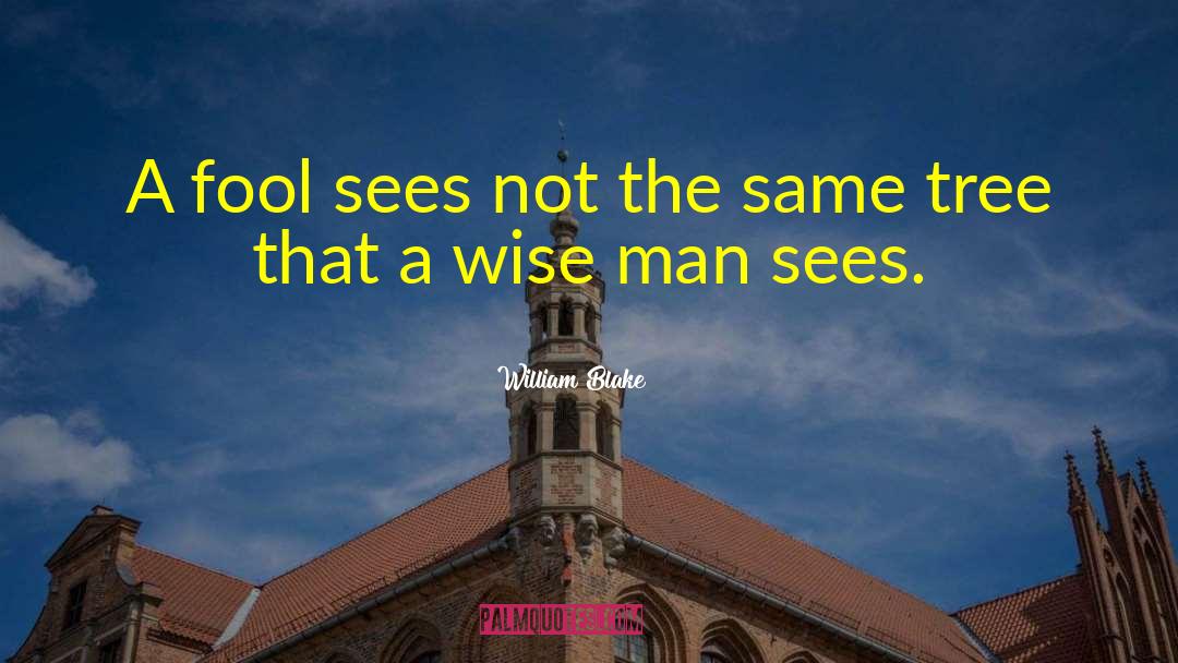 William Blake Quotes: A fool sees not the