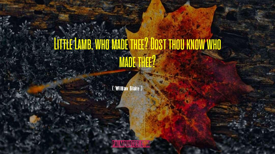 William Blake Quotes: Little Lamb, who made thee?