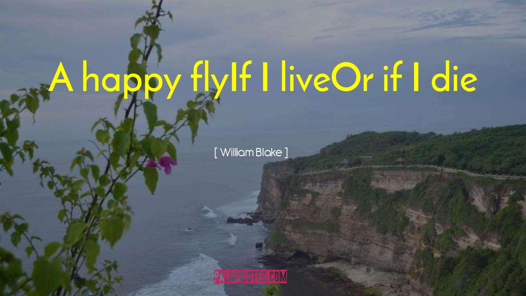William Blake Quotes: A happy fly<br />If I