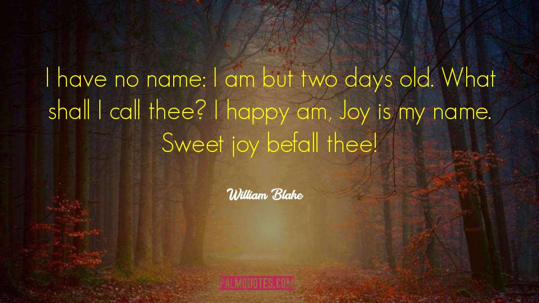 William Blake Quotes: I have no name: I