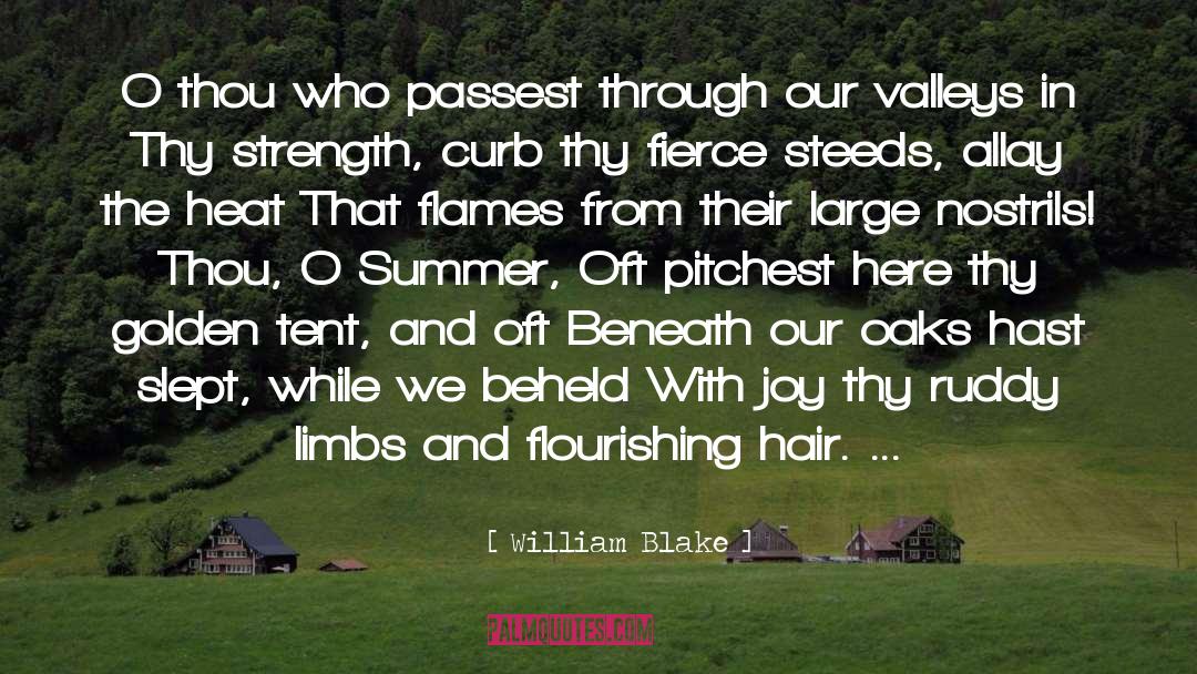 William Blake Quotes: O thou who passest through
