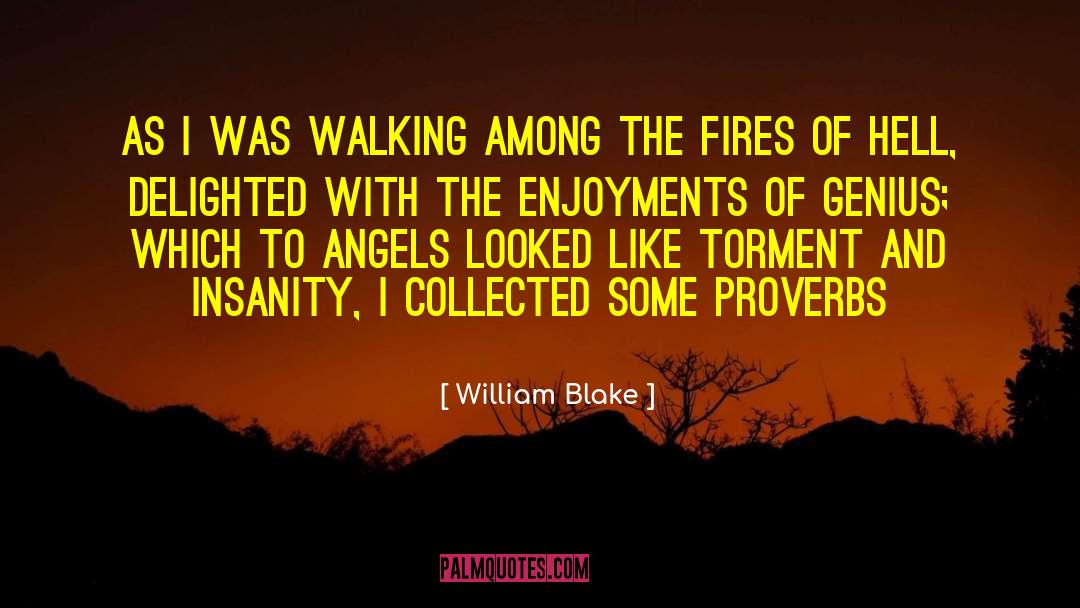William Blake Quotes: As I was walking among