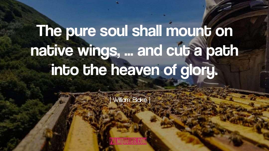William Blake Quotes: The pure soul shall mount